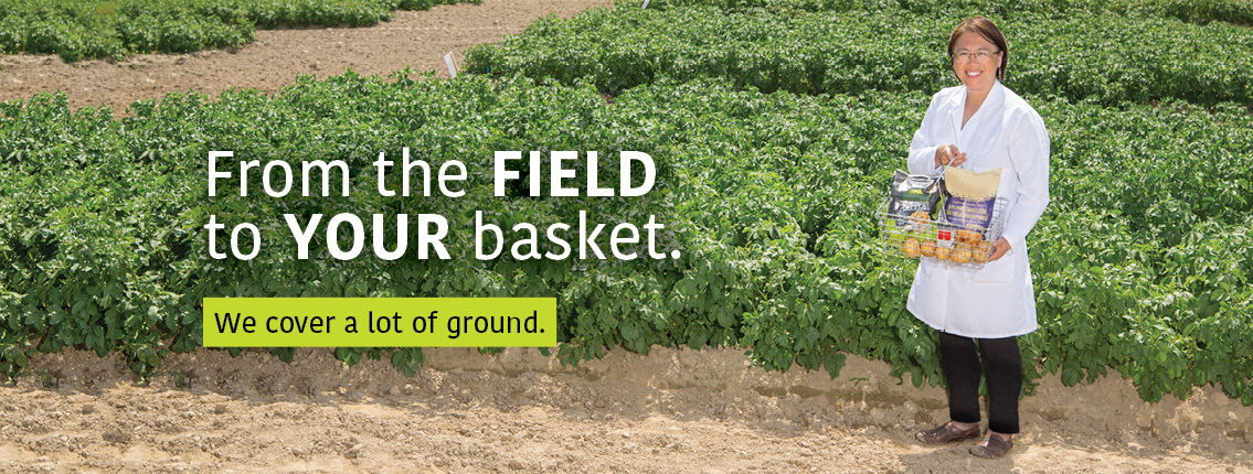 Helen Tai: From the field to your basket. We cover a lot of ground.