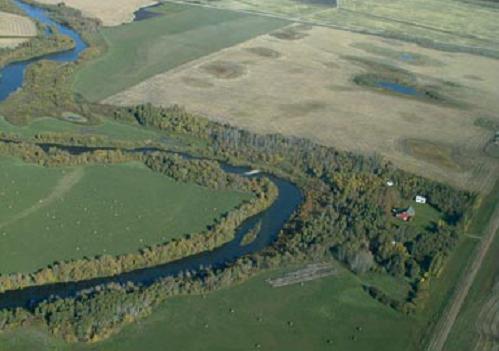 Aerial view of a water body, its riparian area and the surrounding upland vegetation.