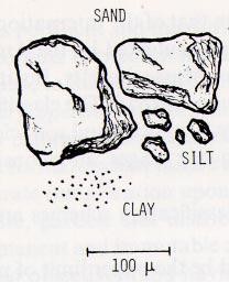 Sand particles (approximately 100 micrometers in diameter) are bigger than silt particles (approximately 20 micrometers in diameter) which are bigger than clay particles.