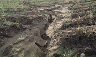 Water erosion of sandy soil