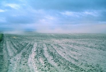 L'érosion éolienne des sols sableux
