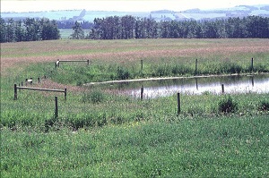 Fence around a water source in a pasture