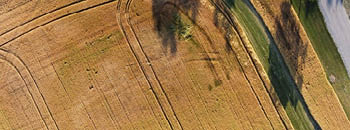 Vue aérienne d’un champ de blé