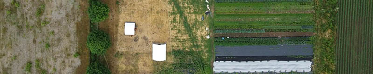 An overhead shot of a farm with rows of different crops.