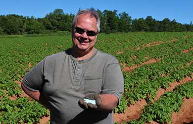Steve Watts holding pelletized enhanced efficiency fertilizer while standing in a field of potato plants