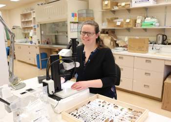 Dr. Meghan Vankosky sits at a microscope in a laboratory setting.