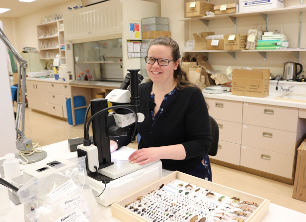 Meghan Vankosky (Ph. D.) est assise devant un microscope dans un laboratoire.