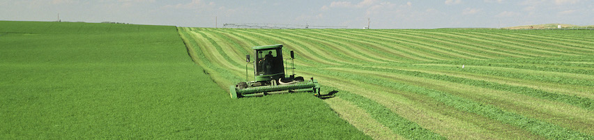 Tractor harvesting in large open green field