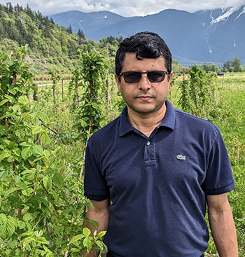 Dr. Rishi Burlakoti stands in front of a row of raspberry plants with mountains in the background.