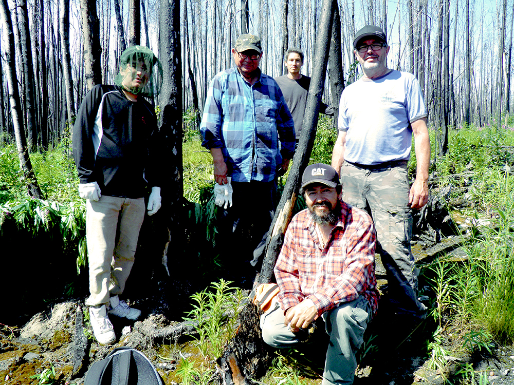 Une équipe de cueilleurs composée de cinq hommes debout dans la forêt, souriants