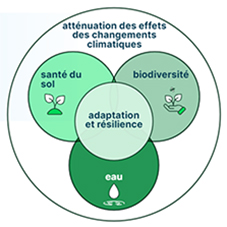 Cette figure est composée de quatre cercles interconnectés (biodiversité, eau, santé des sols, et adaptation et résilience) à l’intérieur d’un cercle plus large (atténuation des changements climatiques) montrant les thèmes prioritaires de la Stratégie pour une agriculture durable.