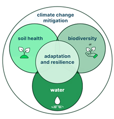 This figure is made up of four interconnected circles (biodiversity, water, soil health, and adaptation and resilience) inside a larger circle (climate change mitigation) showing the priority themes of the Sustainable Agriculture Strategy.