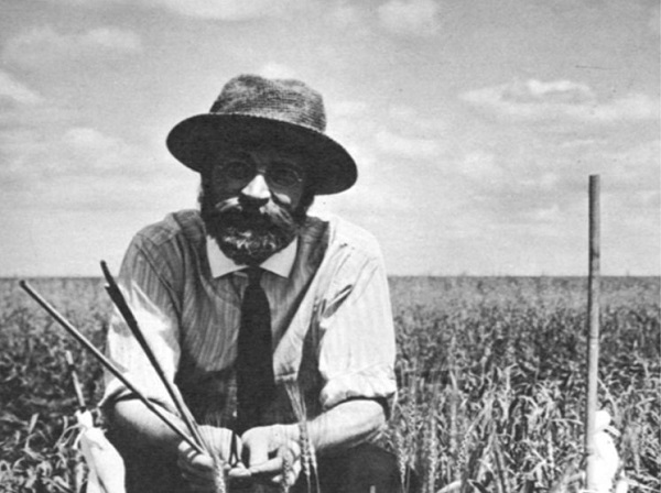 Charles Saunders sits in a field of wheat
