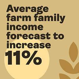 Average farm family income forecast to increase 11%