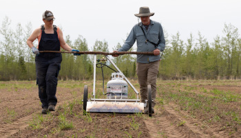 Two researchers walking in a field holding research equipment