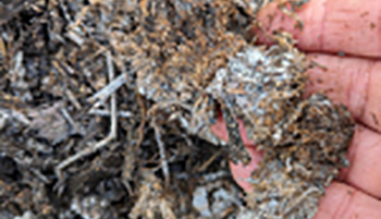 A close up of a hand holding composted materials