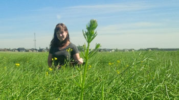 Femme debout dans un champ de canola vert tenant une planchette à pince.