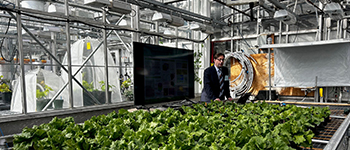 A man in a navy blue business suit stands next to a flat-screen television, behind a large table of lettuce plants.