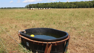 Un grand bac d'eau dans un champ agricole.