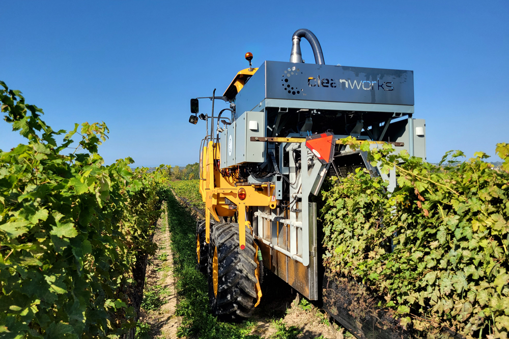 Clean Works technology passing over grape vines.