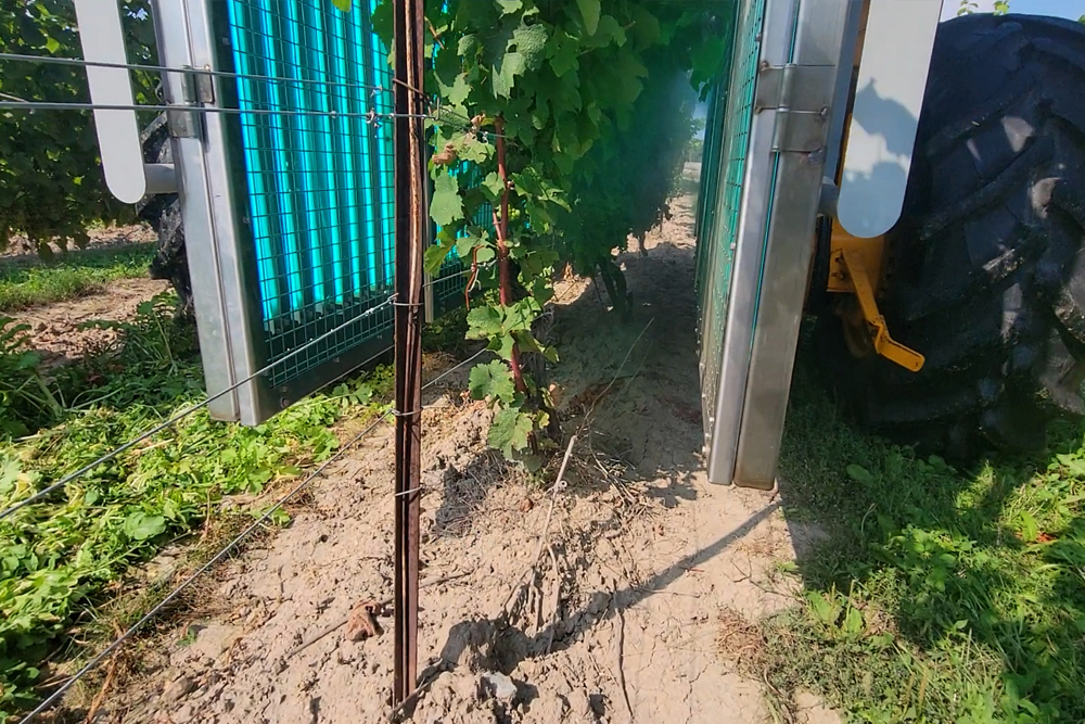 Clean Works technology passing over grape vines.