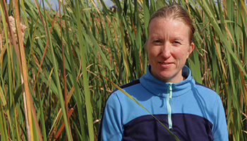 A scientist standing in front of a constructed wetland