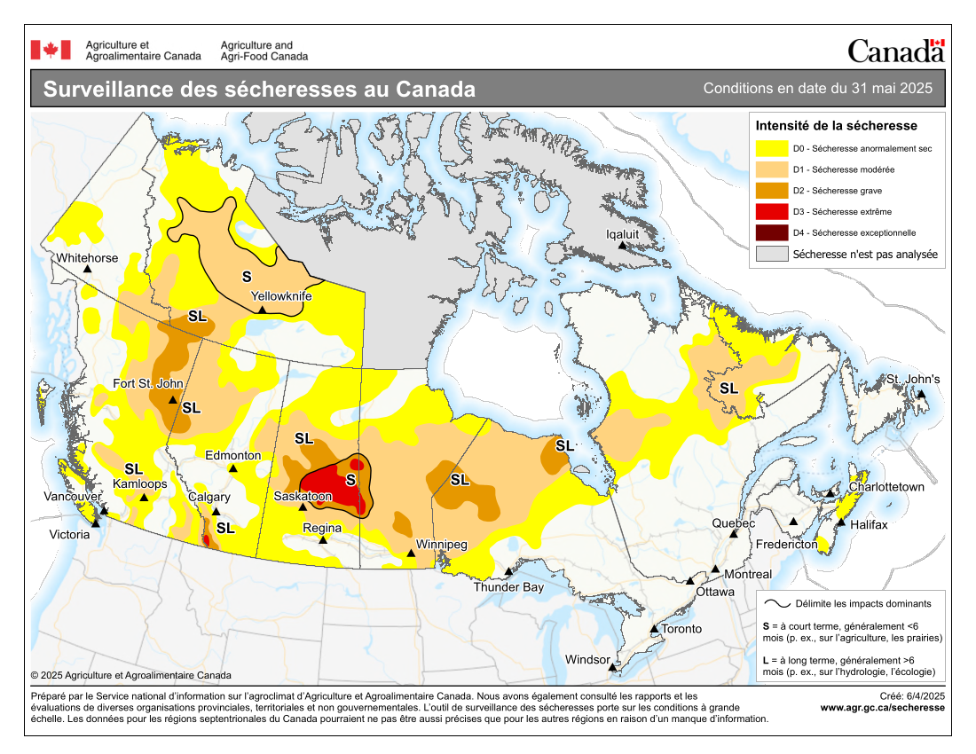 Outil de surveillance des sécheresses au Canada, conditions en date du 31 may 2025, carte du Canada