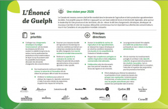 L'Énoncé de Guelph - une vision pour 2028