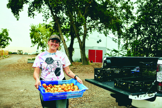 A team member loads vegetables for donation into a truck