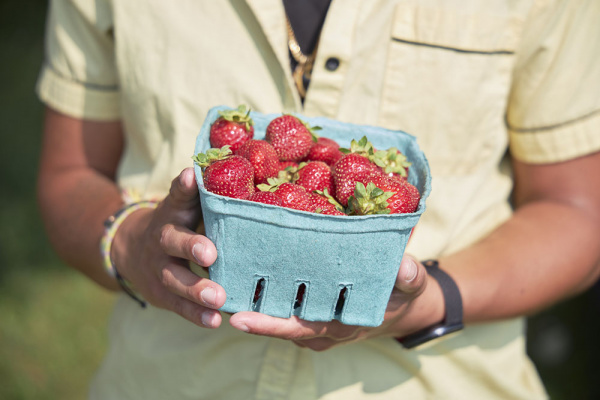 Petit panier bleu dans lequel se trouvent des fraises bien rouges. Le panier est tenu dans les mains d'un individu dont on ne voit pas le visage.