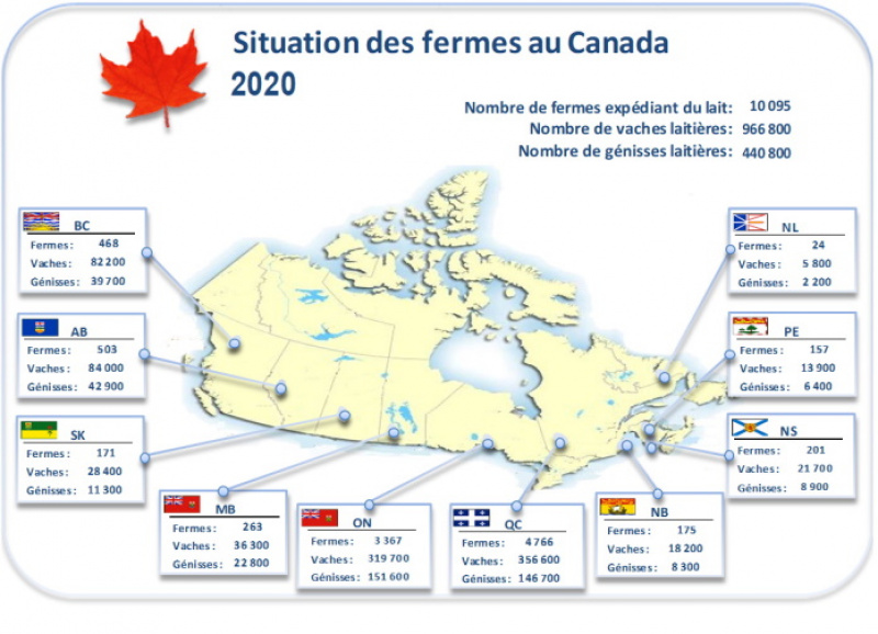 Carted du Canada incluant nombre fermes, vaches et génisses laitière tel que démontré dans le tableau ci-dessous