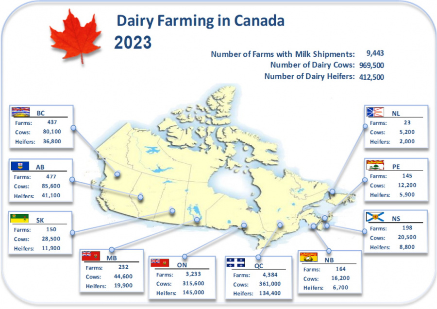 Image: Map of Canada with number of dairy farms and cattle as described in the table below