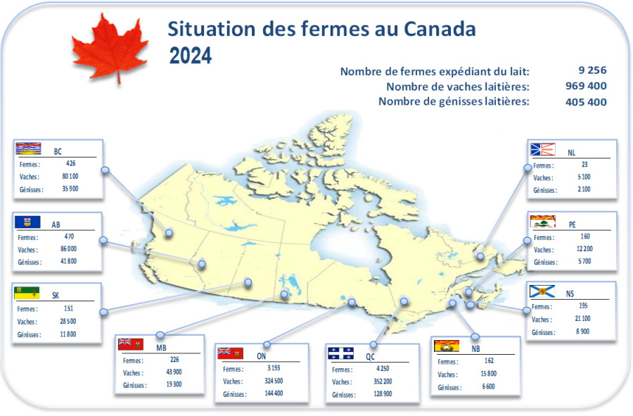 Image: Carte du Canada avec nombre de fermes et vache laitière tel que décrit dans le tableau ci-dessous